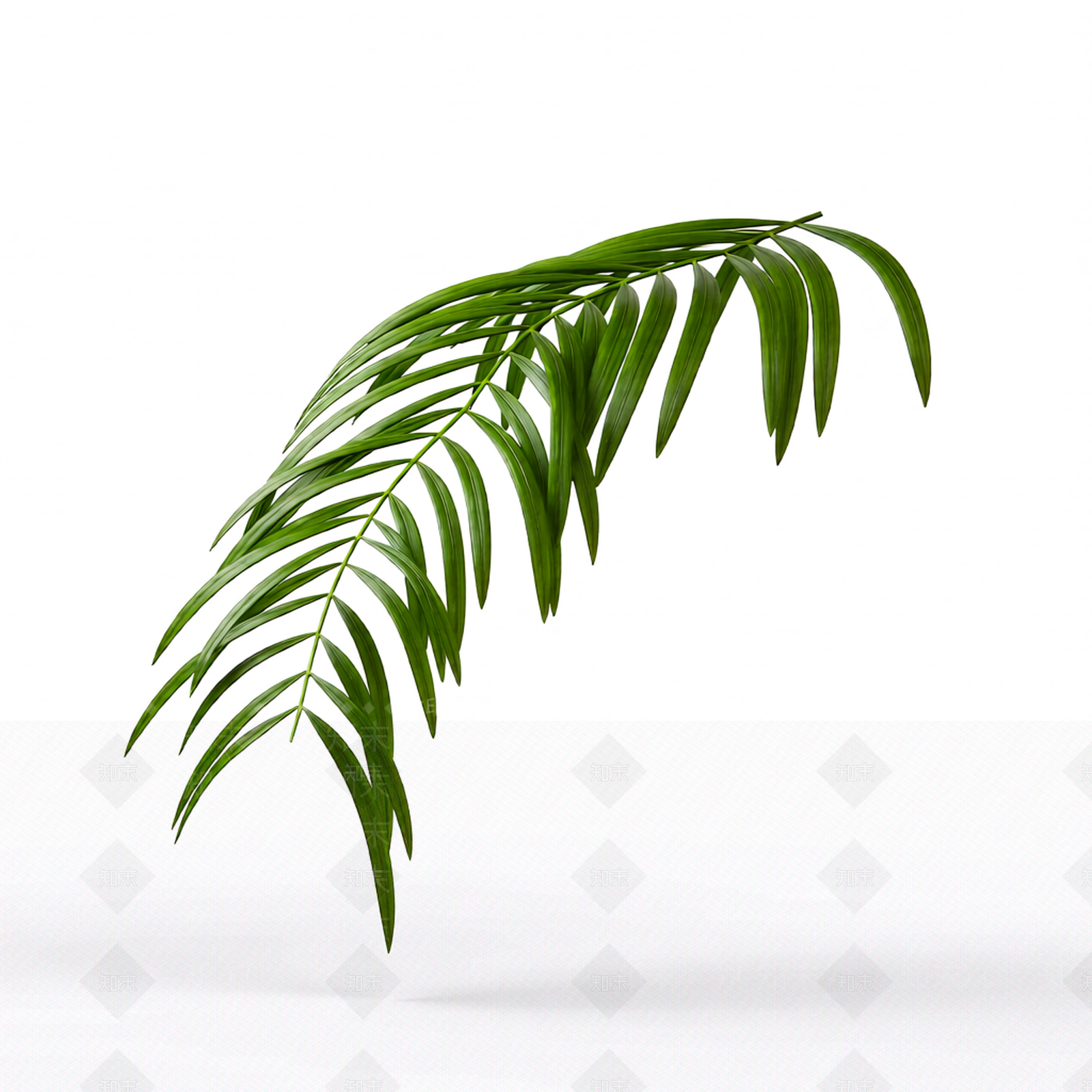 绿色植物枝叶模型3D模型下载【ID:1206188119】