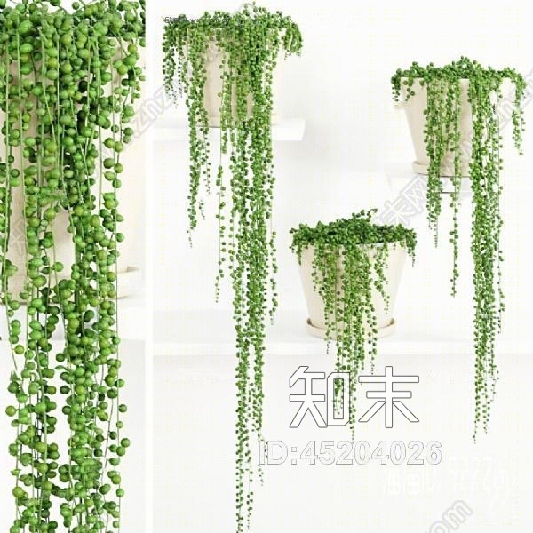 现代吊兰绿植盆栽组合3D模型下载【ID:45204026】