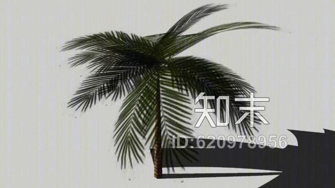 棕榈树SU模型下载【ID:620978956】