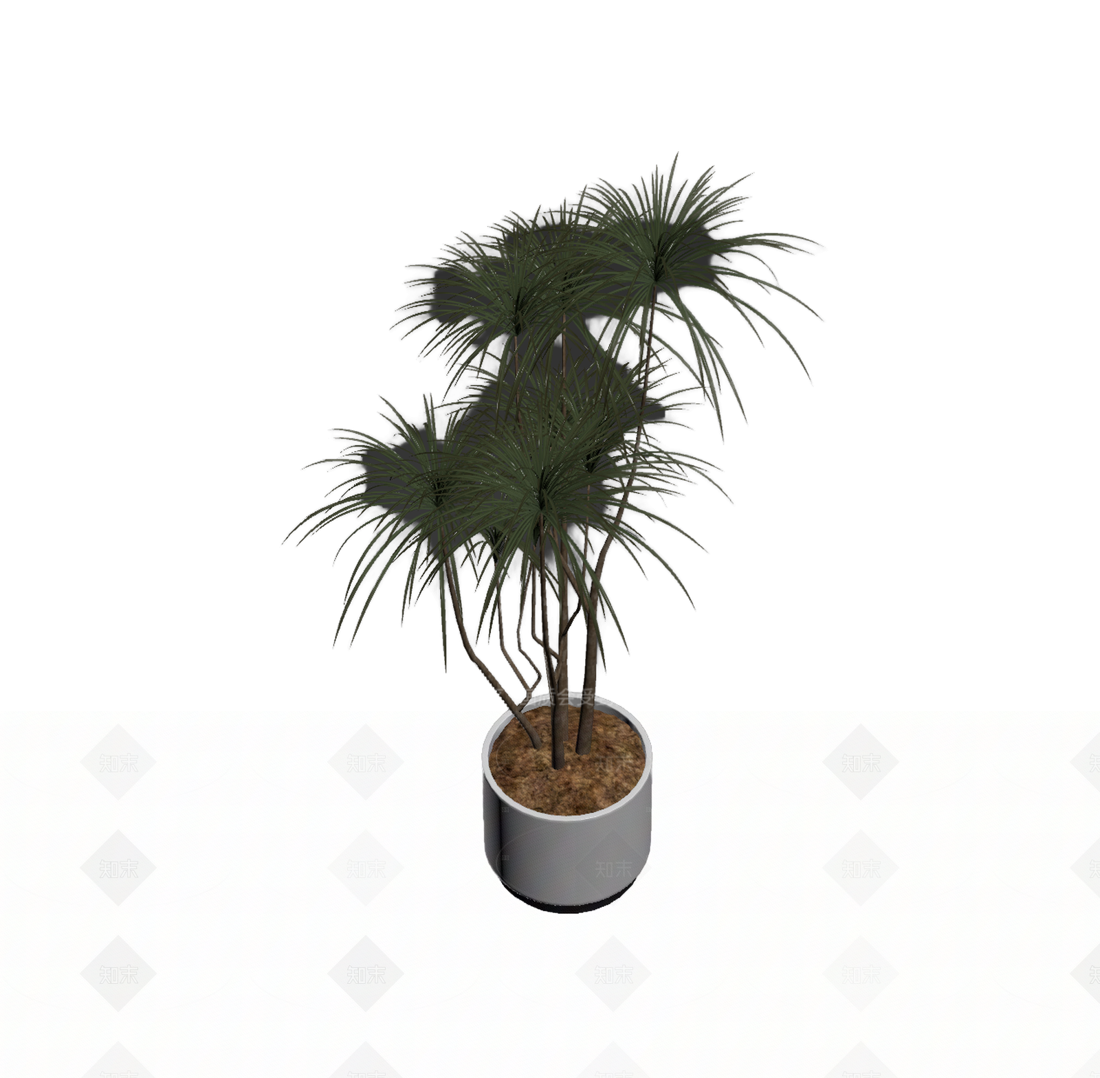 带盆绿植盆栽3D模型下载【ID:1206203940】