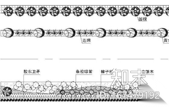 道路绿化标段及横断面图纸cad施工图下载【ID:167479192】