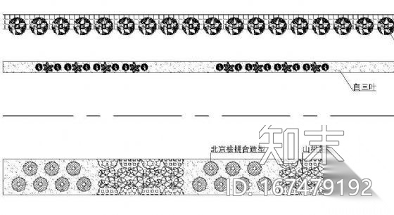 道路绿化标段及横断面图纸cad施工图下载【ID:167479192】