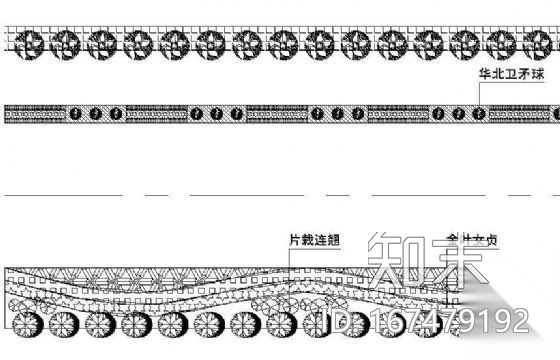 道路绿化标段及横断面图纸cad施工图下载【ID:167479192】