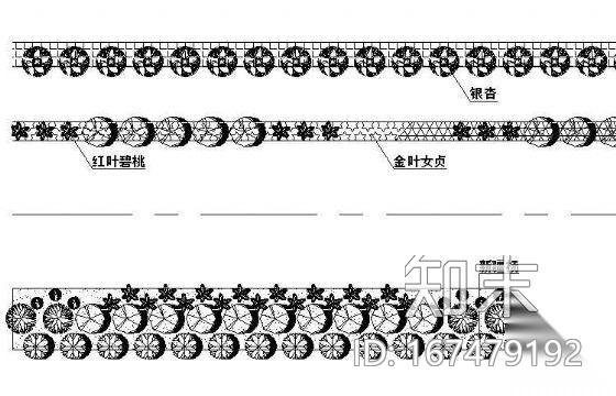 道路绿化标段及横断面图纸cad施工图下载【ID:167479192】