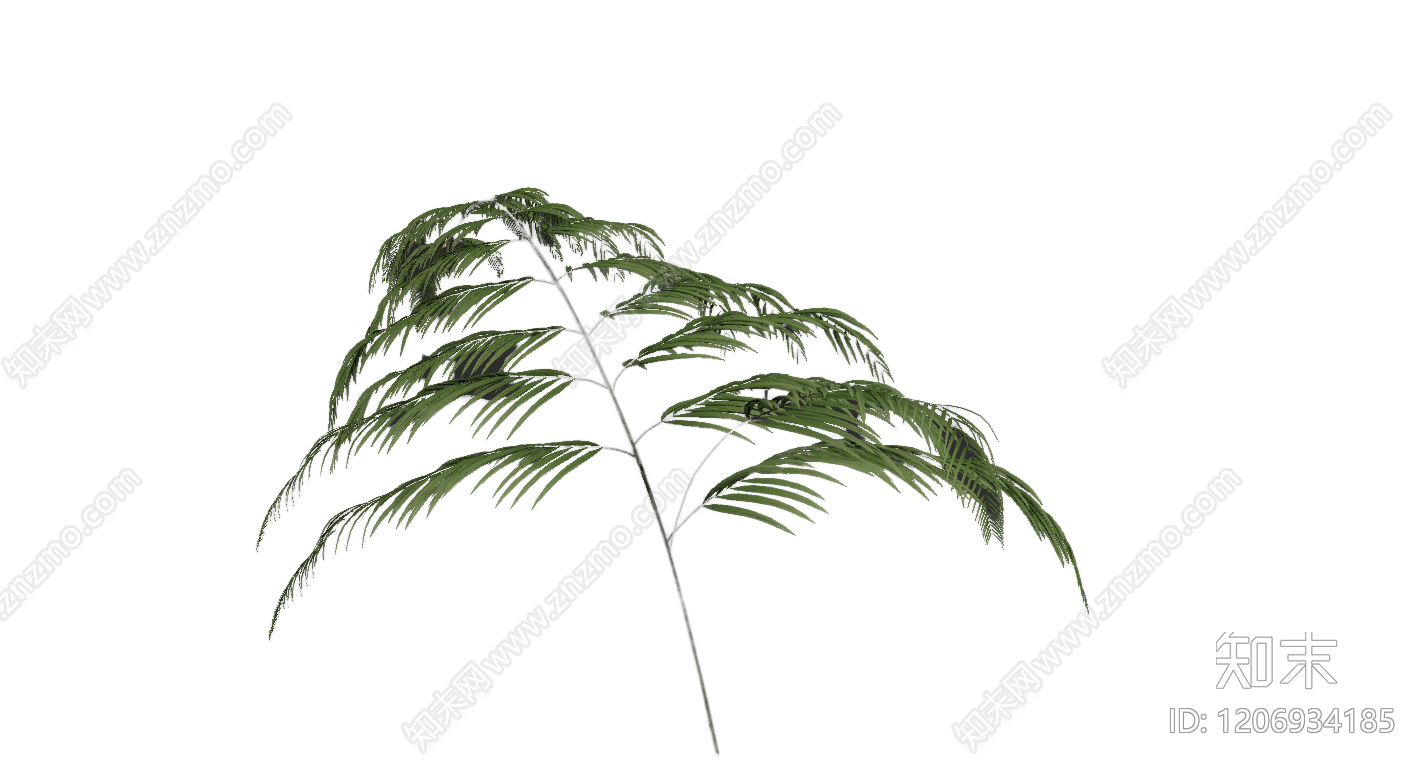 盆栽蕨类植物3D模型下载【ID:1206934185】