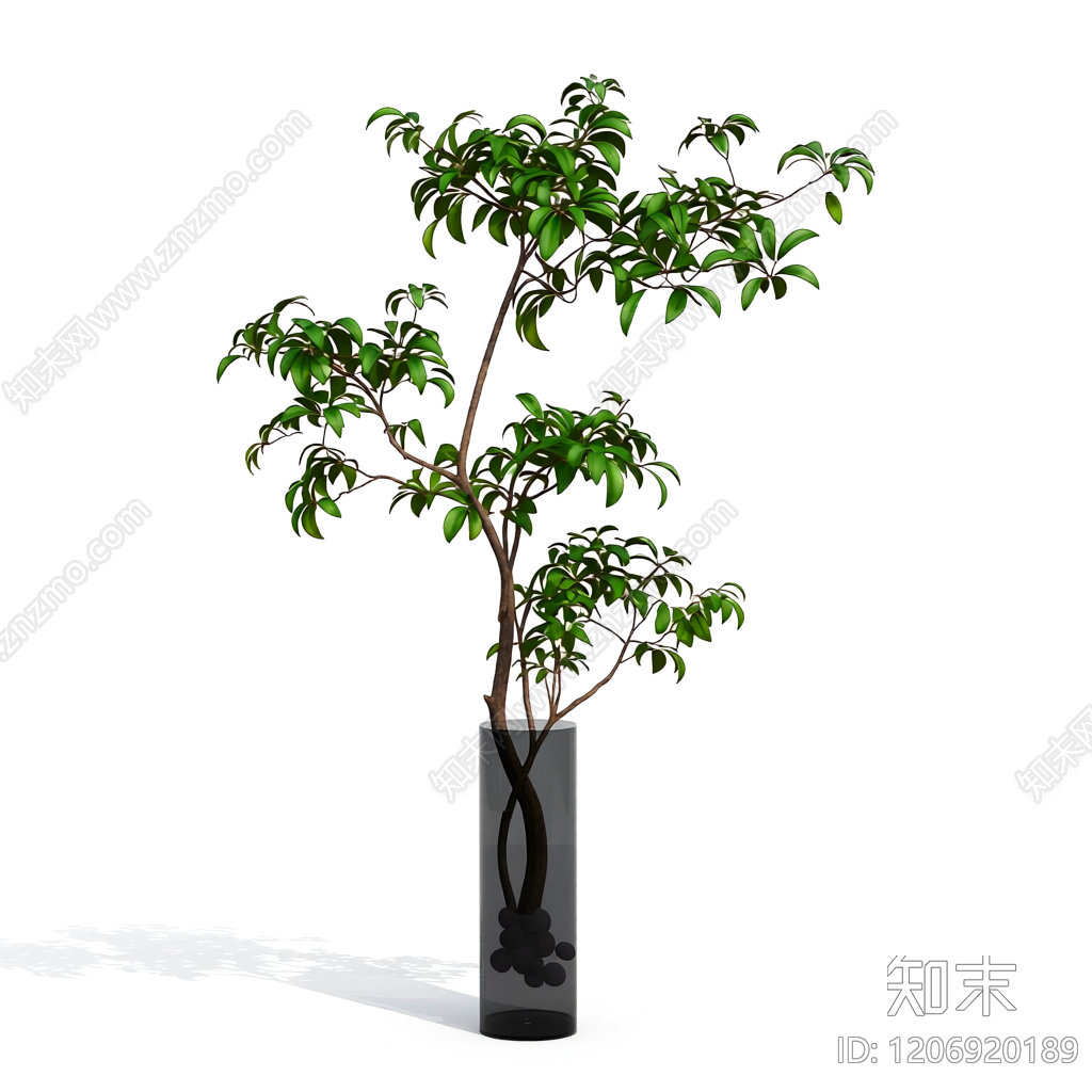 盆栽植物带花盆3D模型下载【ID:1206920189】