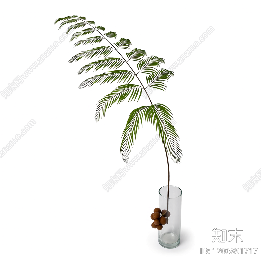 盆栽蕨类植物3D模型下载【ID:1206891717】