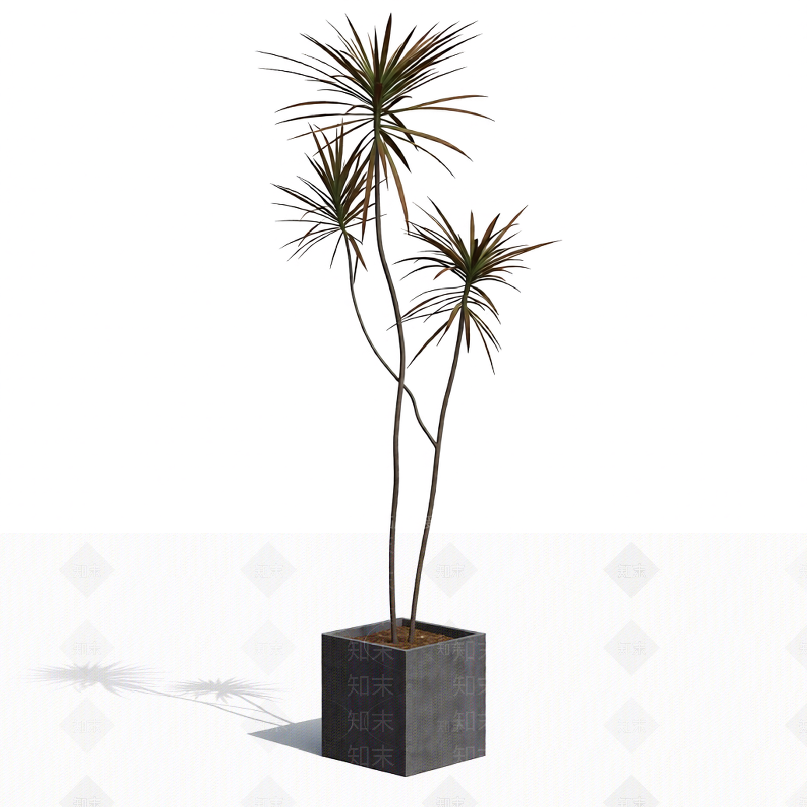 带盆多肉植物模型3D模型下载【ID:1206190008】