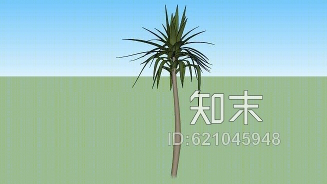 树木龙血树SU模型下载【ID:621045948】