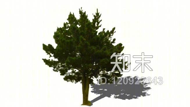 松树SU模型下载【ID:120923643】