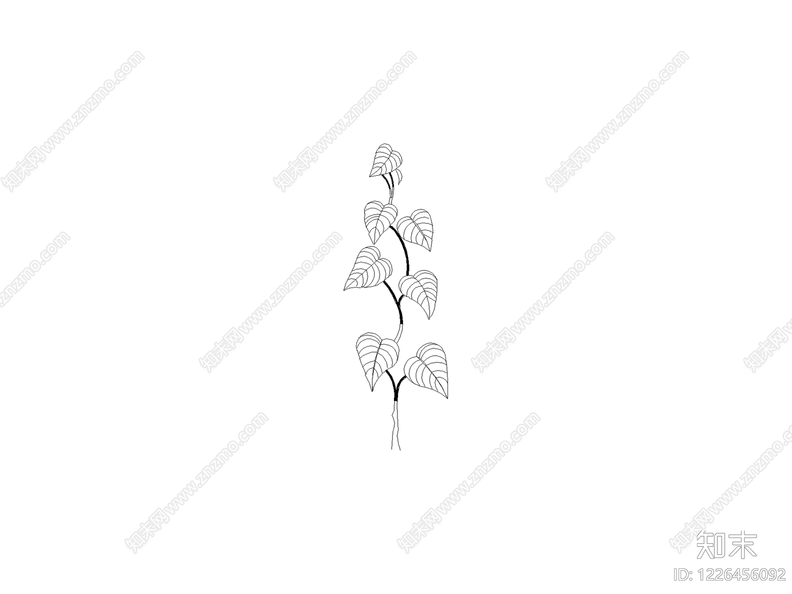 攀援植物CAD图纸