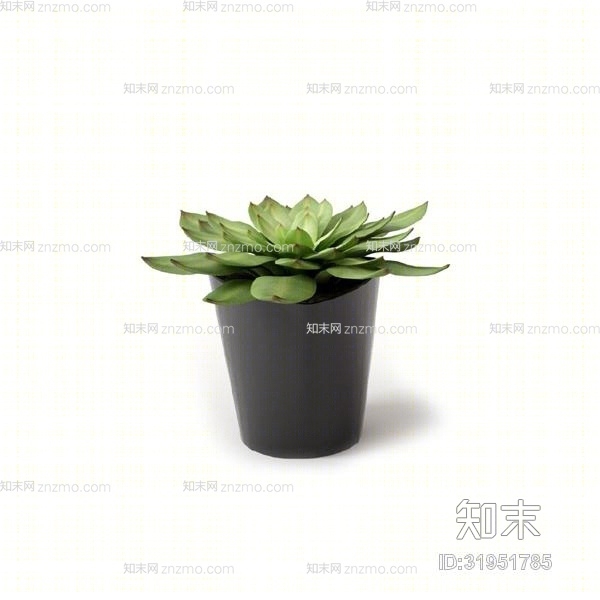 绿色盆栽3D模型下载【ID:31951785】