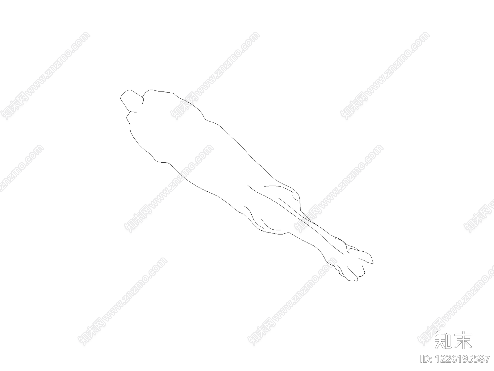动物CAD图纸