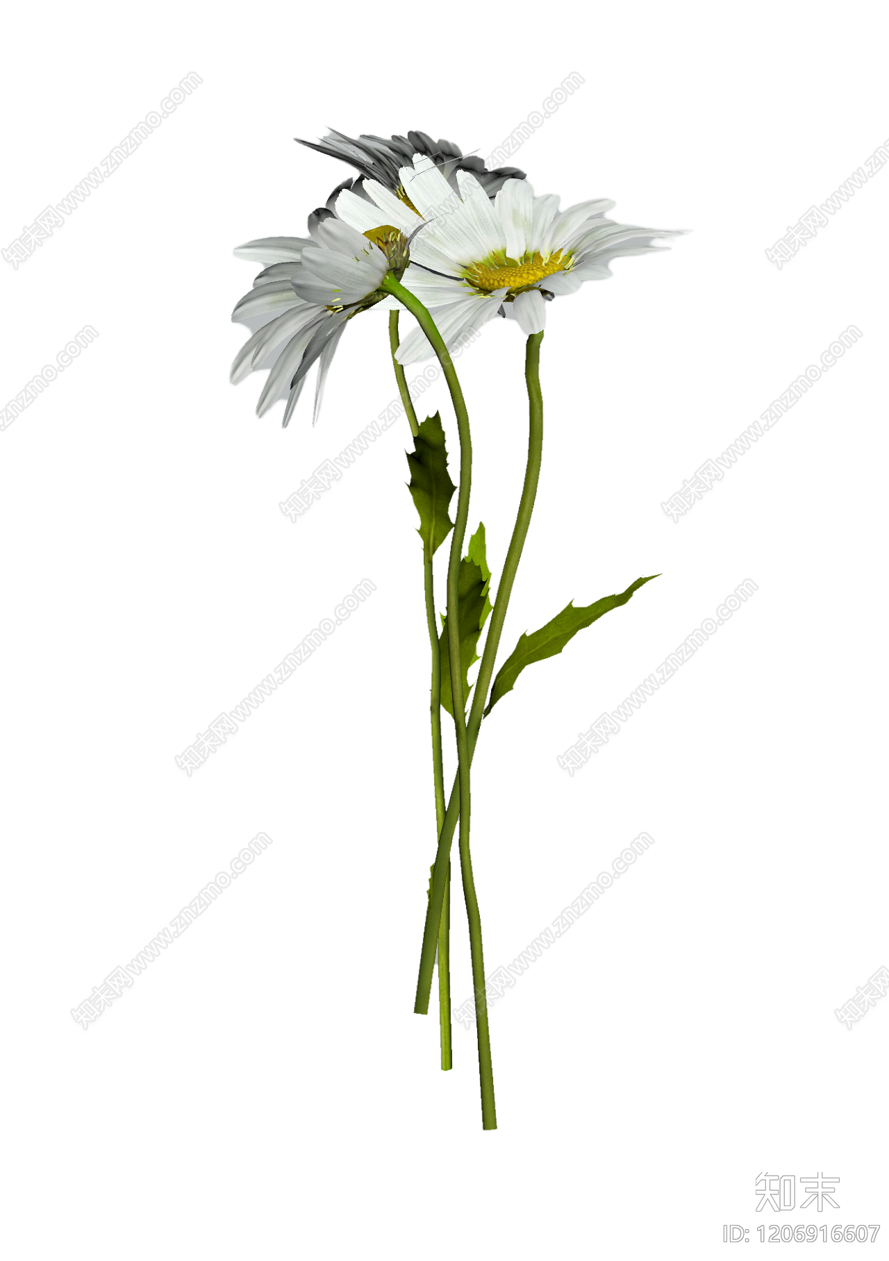 雏菊花束装饰3D模型下载【ID:1206916607】