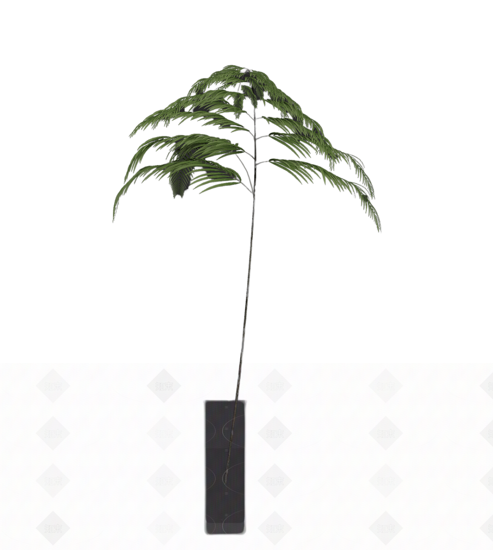 绿色枝叶植物模型3D模型下载【ID:1206183045】