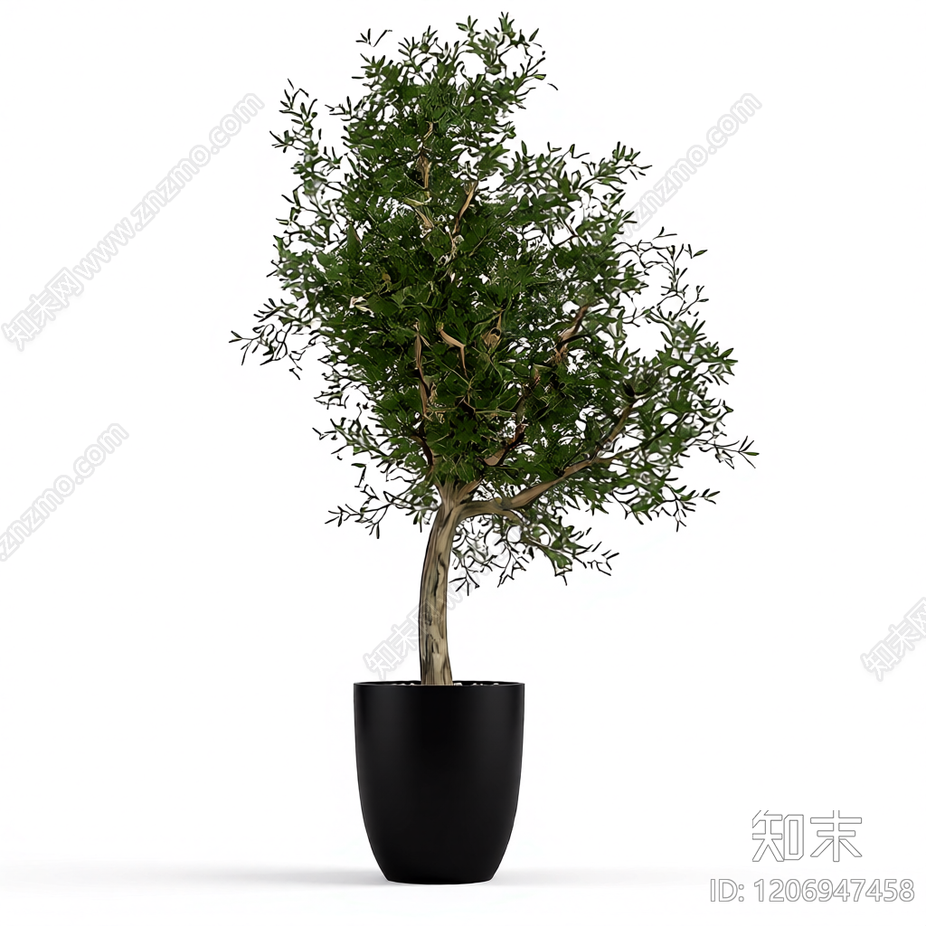 盆栽绿植3D模型下载【ID:1206947458】