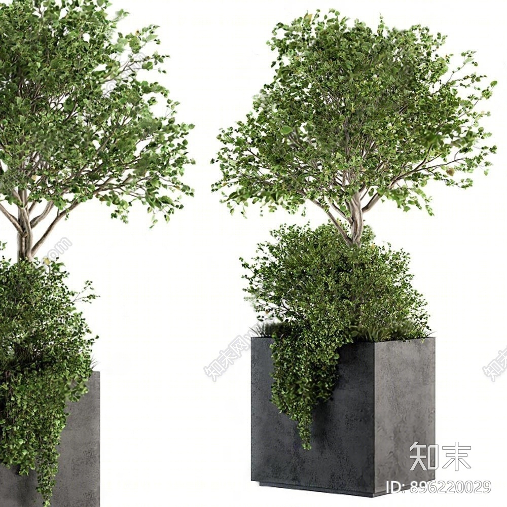 现代树池3D模型下载【ID:896220029】