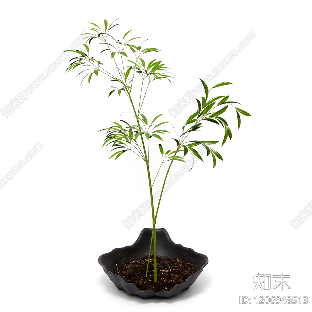 盆栽植物带花盆3D模型下载【ID:1206948513】