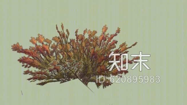 灌木SU模型下载【ID:620895983】