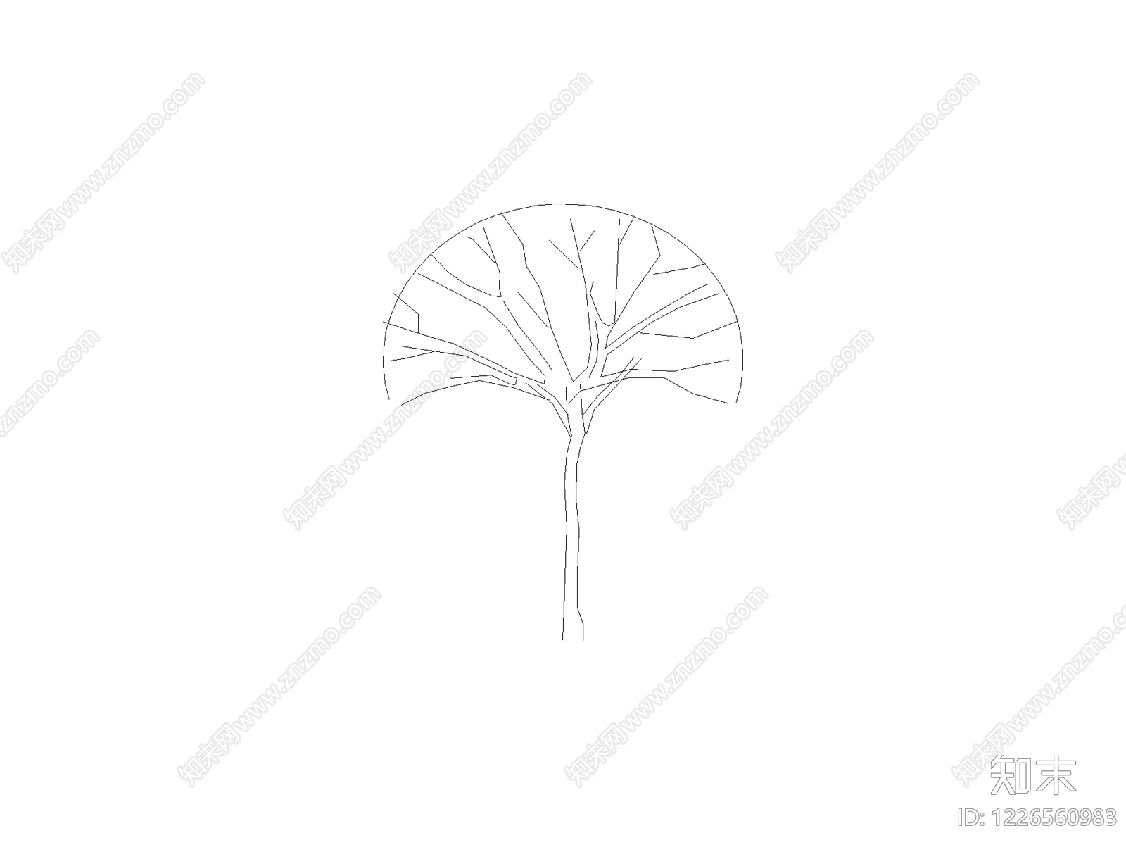 现代乔木种植CAD图纸
