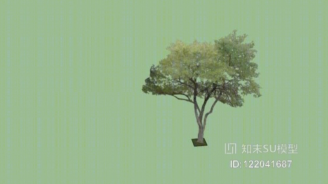 二维树SU模型下载【ID:122041687】