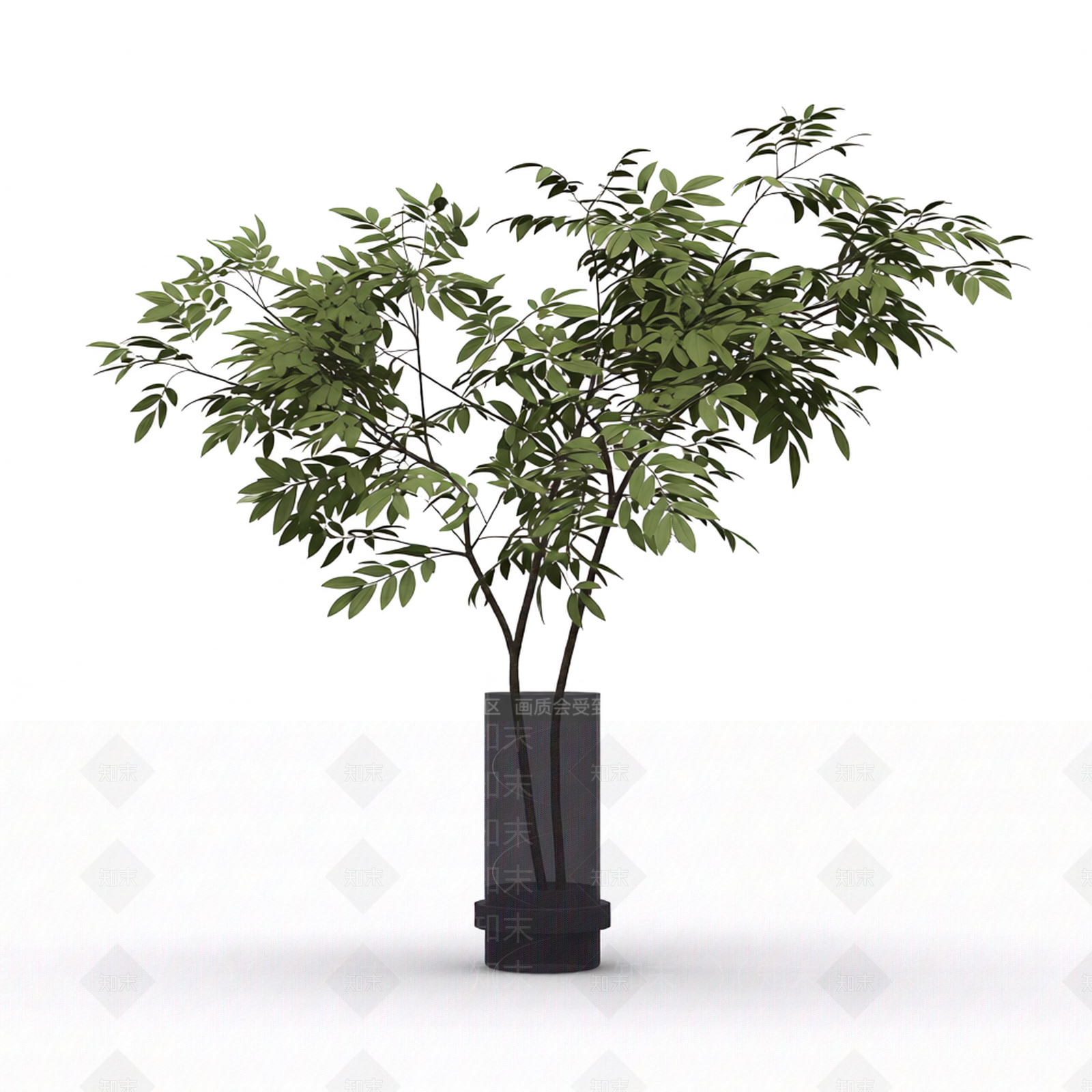 带盆绿植盆栽3D模型下载【ID:1206191247】