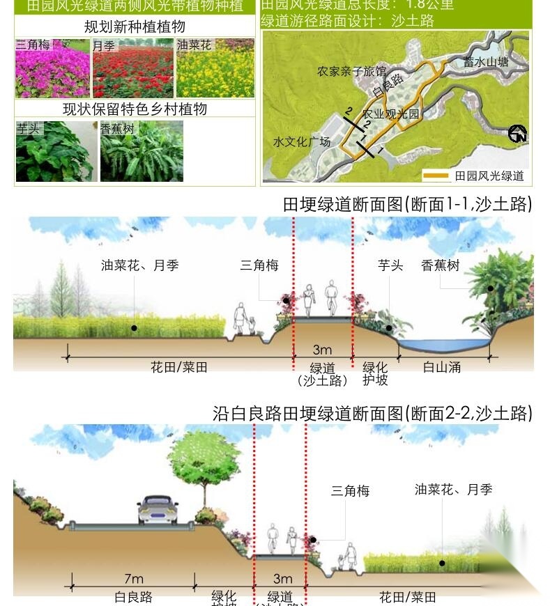 [广东]美丽乡村示范点某镇村庄详细规划景观方案设计P...cad施工图下载【ID:160921163】