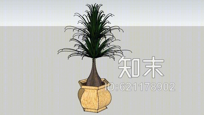 盆栽马尾辫SU模型下载【ID:621178902】