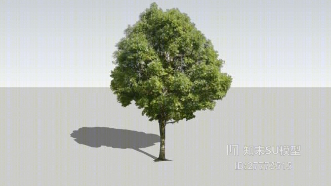 树SU模型下载【ID:27773515】