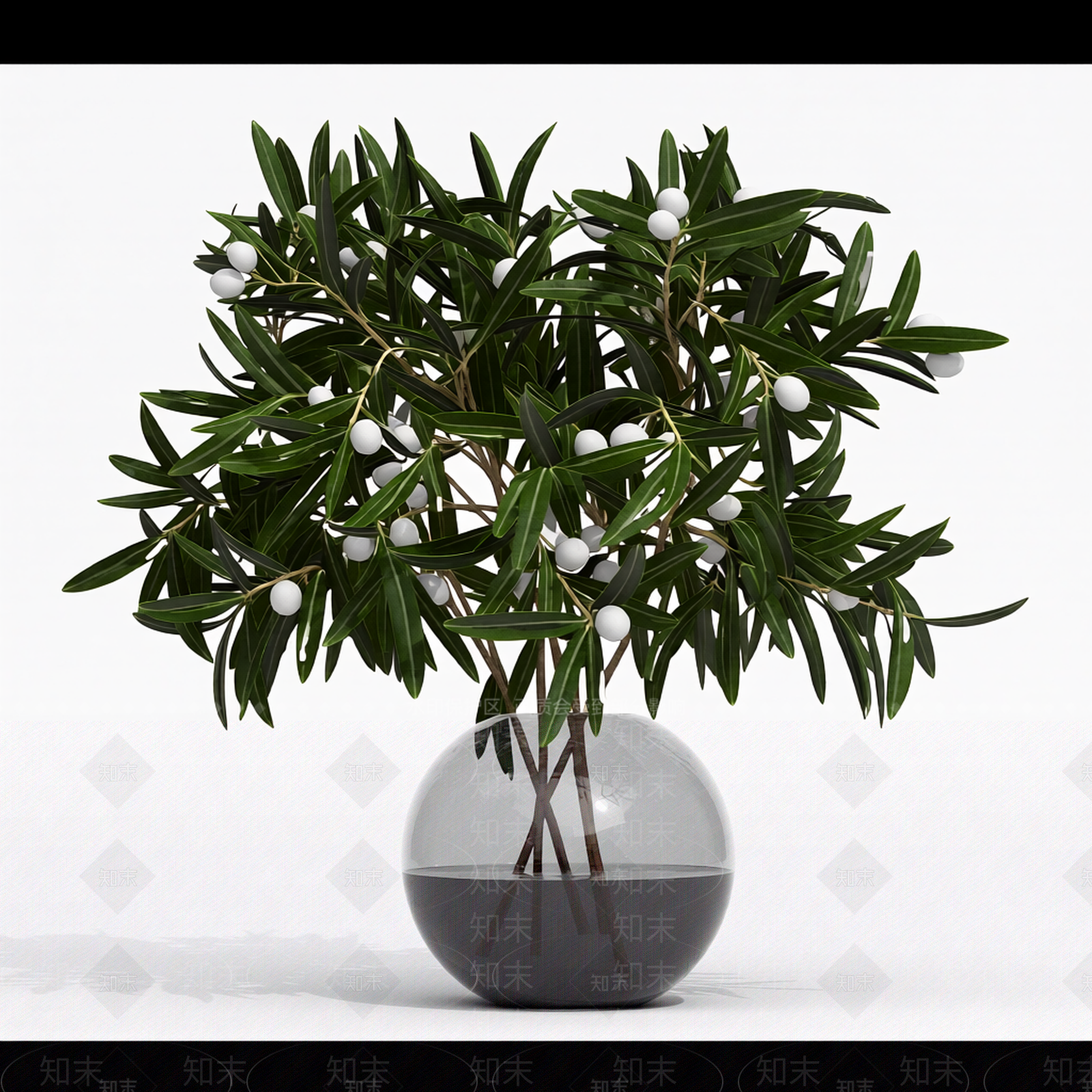 带果盆栽植物3D模型下载【ID:1206196761】