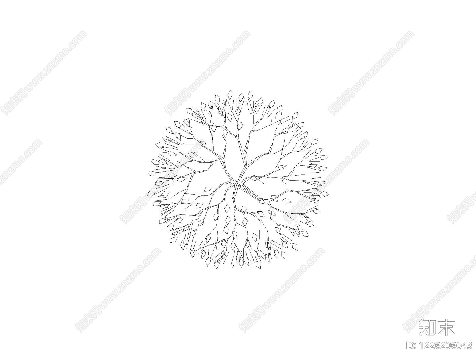乔木种植CAD图纸