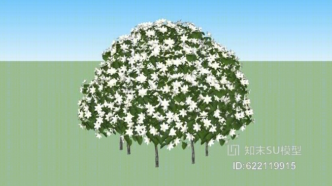 虎耳草科山梅花属SU模型下载【ID:622119915】