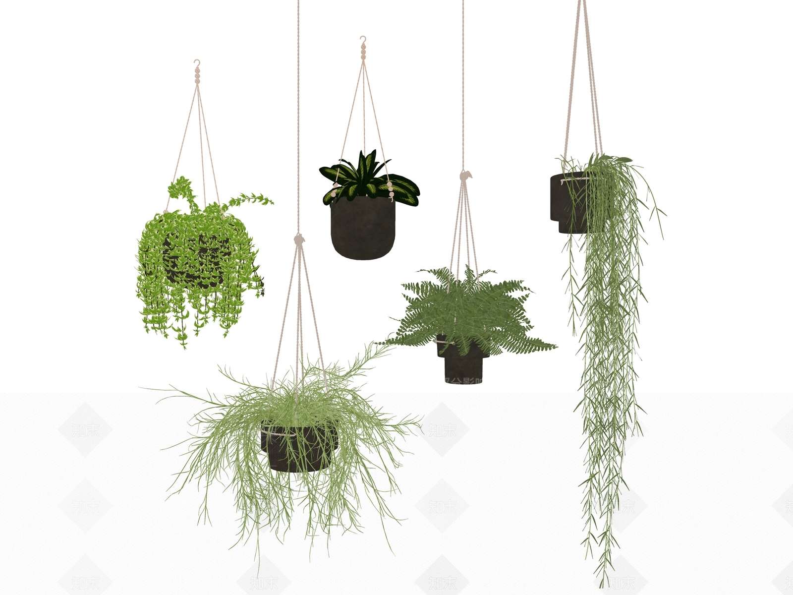 现代吊挂植物SU模型下载【ID:173741141】