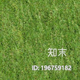 草坪下载【ID:196759182】