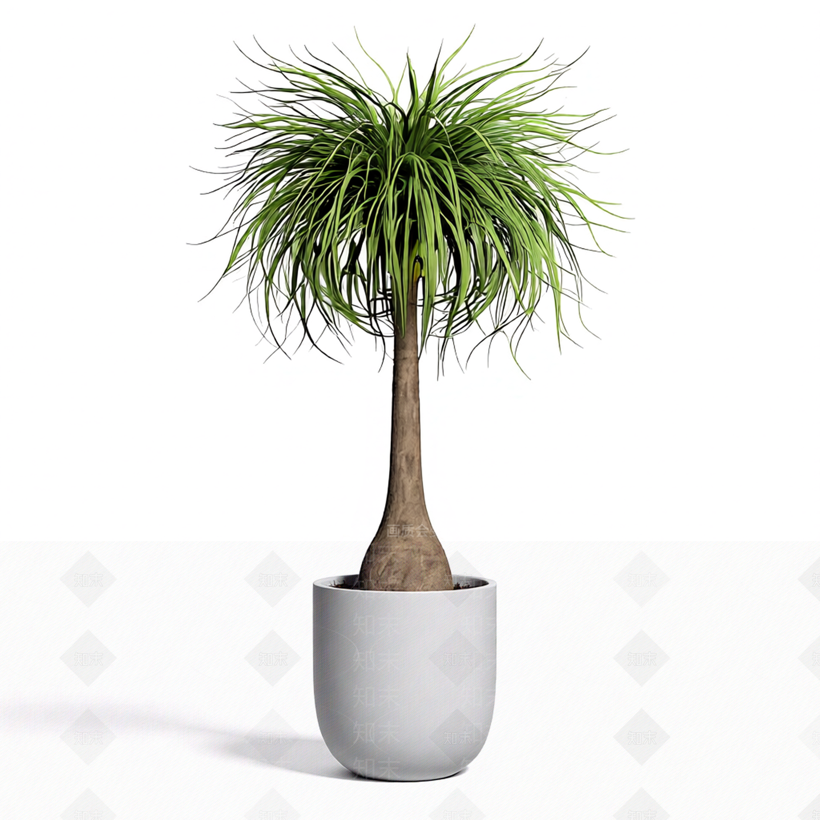 带盆绿植盆栽3D模型下载【ID:1206184112】