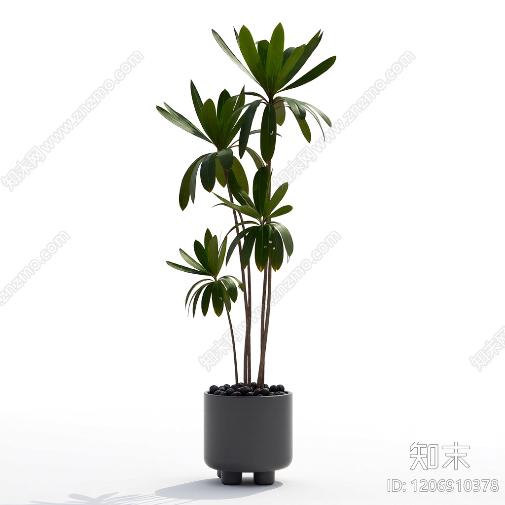 盆栽植物组合3D模型下载【ID:1206910378】