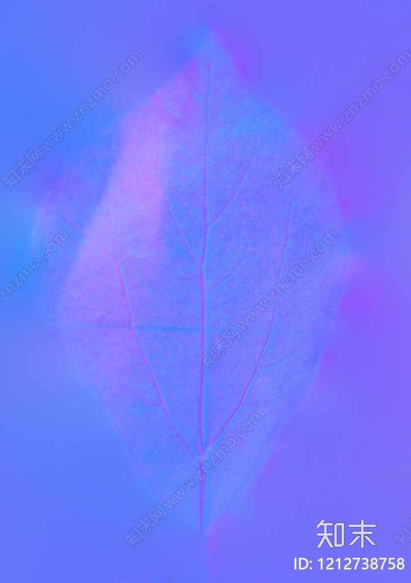 叶片纹理贴图下载【ID:1212738758】