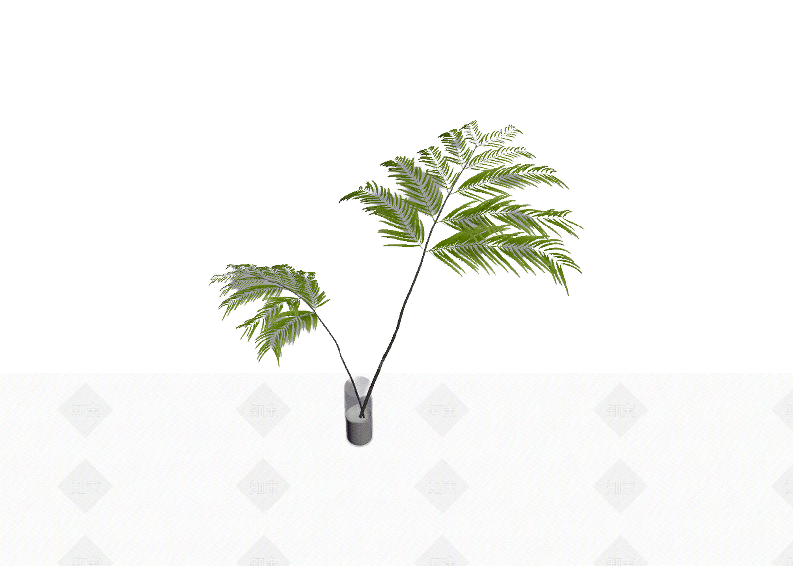 带盆蕨类盆栽3D模型下载【ID:1206197645】