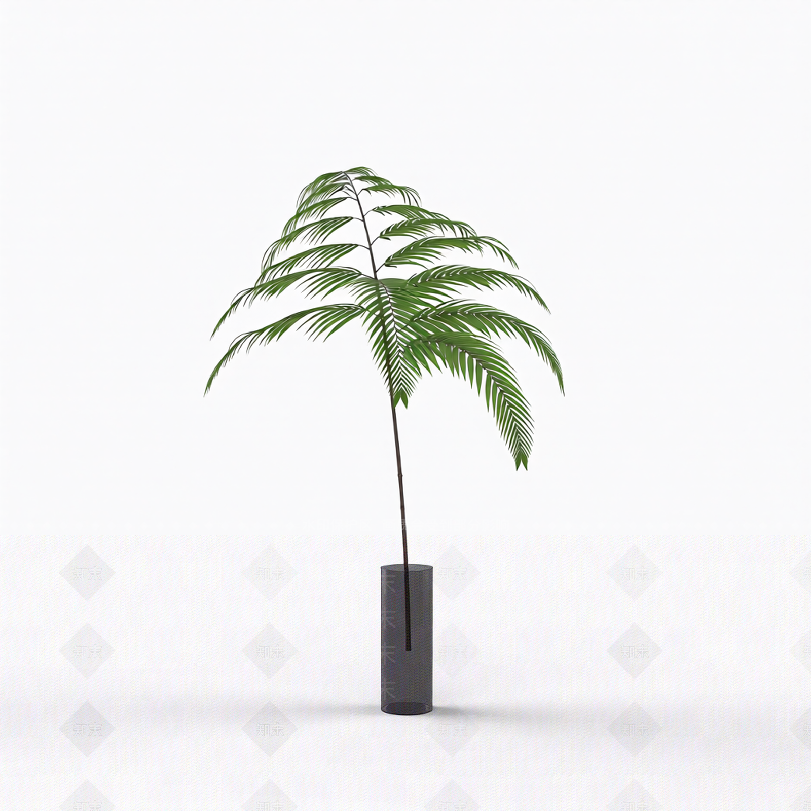 绿色枝叶植物模型3D模型下载【ID:1206184699】