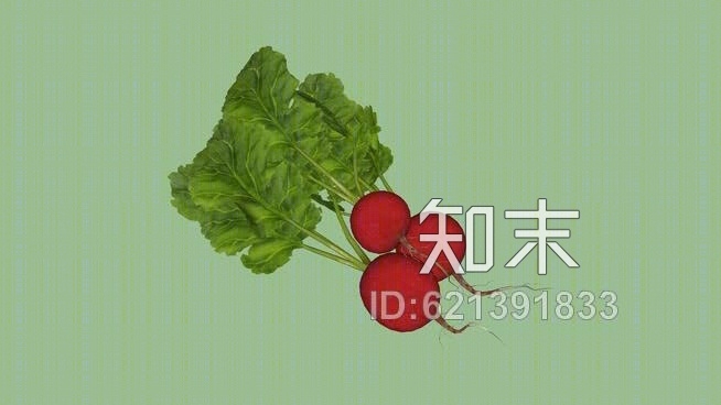 果蔬萝卜SU模型下载【ID:621391833】