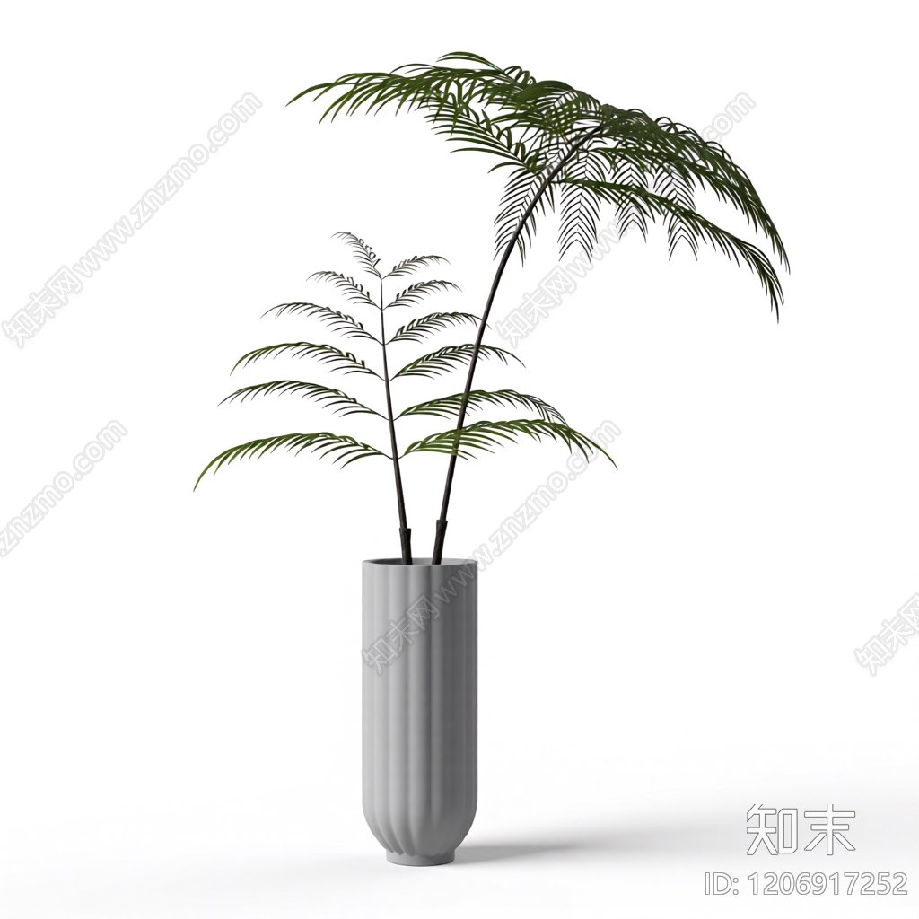 盆栽植物组合3D模型下载【ID:1206917252】