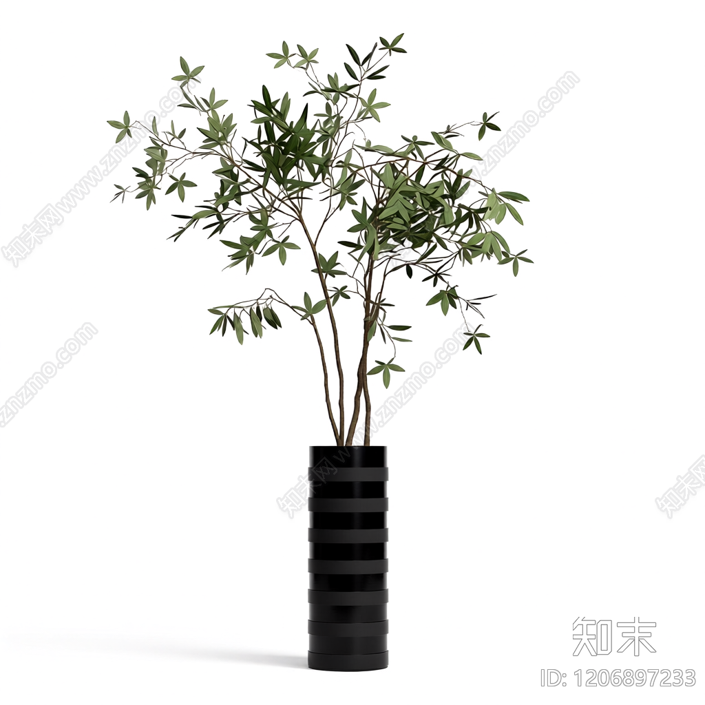盆栽植物装饰3D模型下载【ID:1206897233】