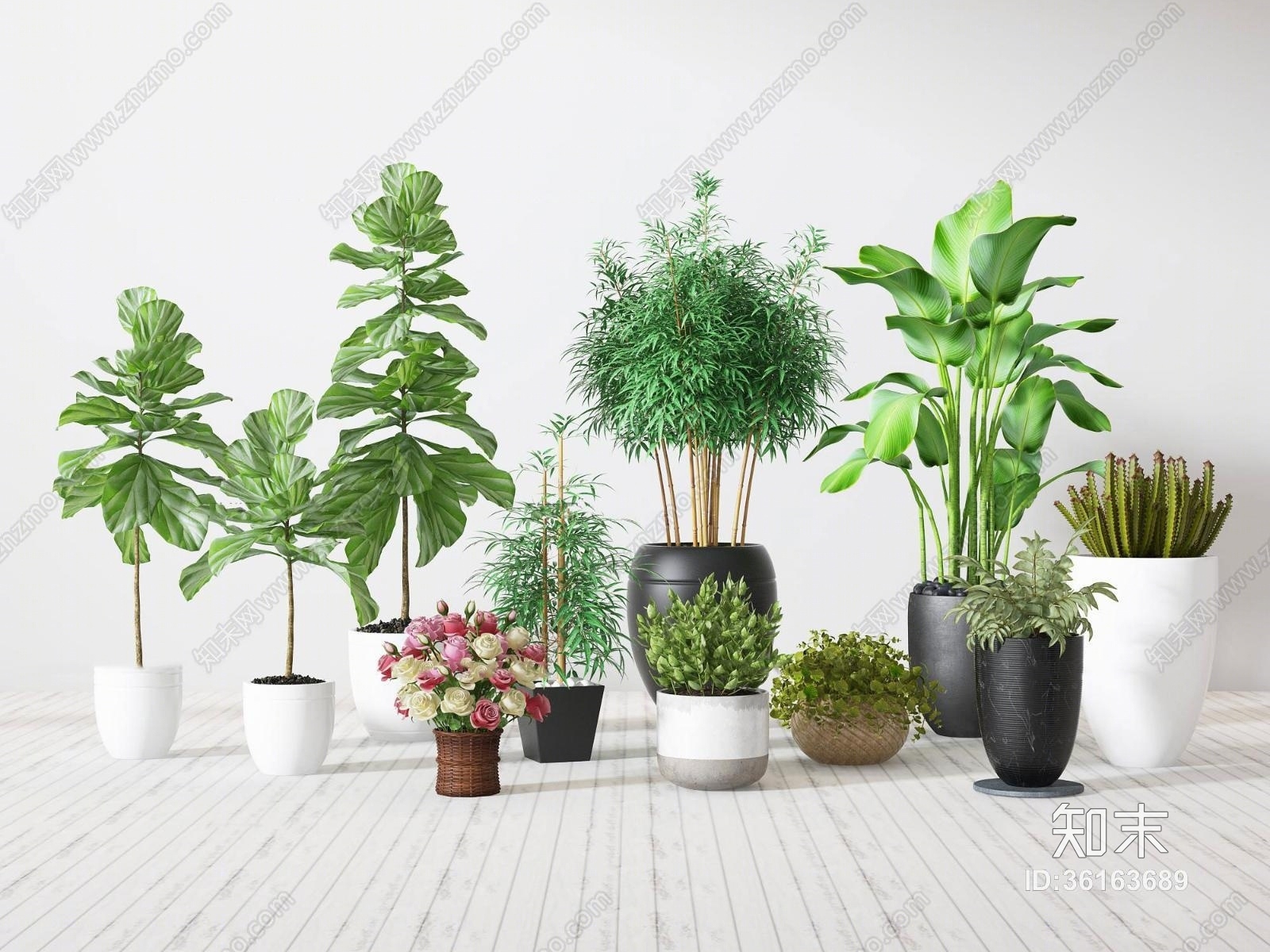 现代绿色盆摘组合3D模型下载【ID:36163689】