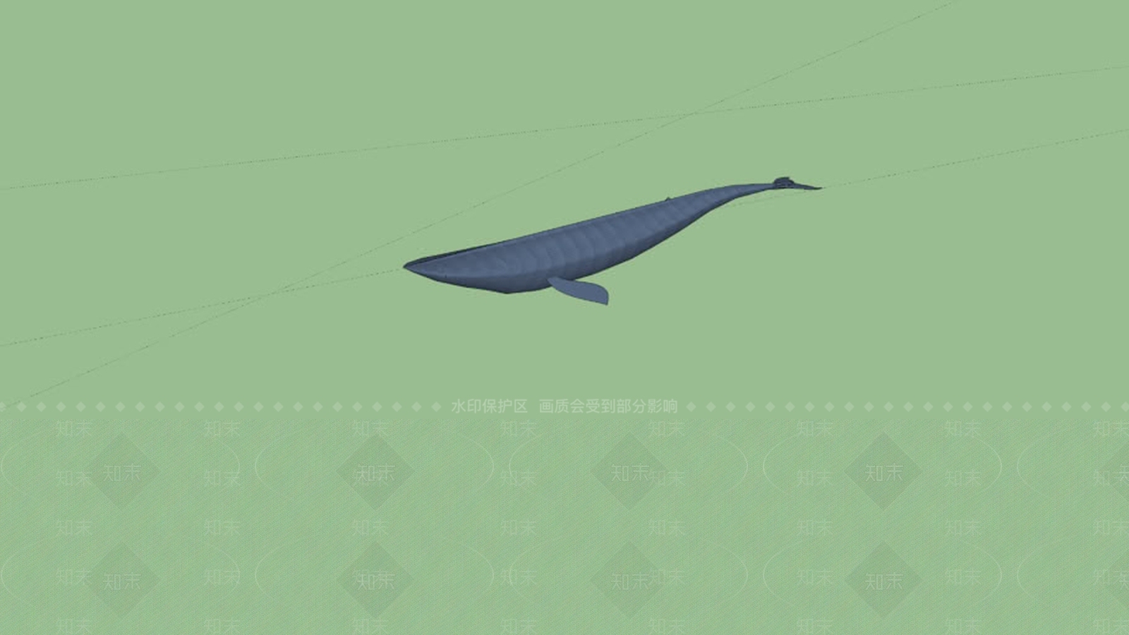 蓝鲸SU模型下载【ID:1162598660】