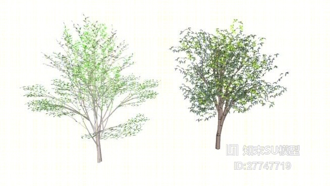 树SU模型下载【ID:27747719】