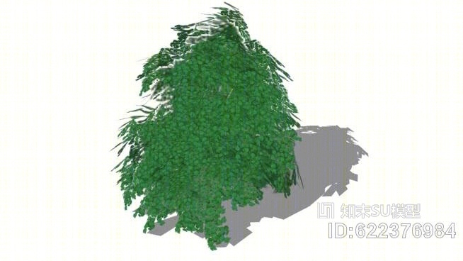 连翘SU模型下载【ID:622376984】