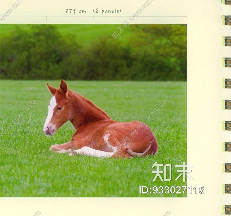 装饰画-童趣卡通贴图下载【ID:933027115】