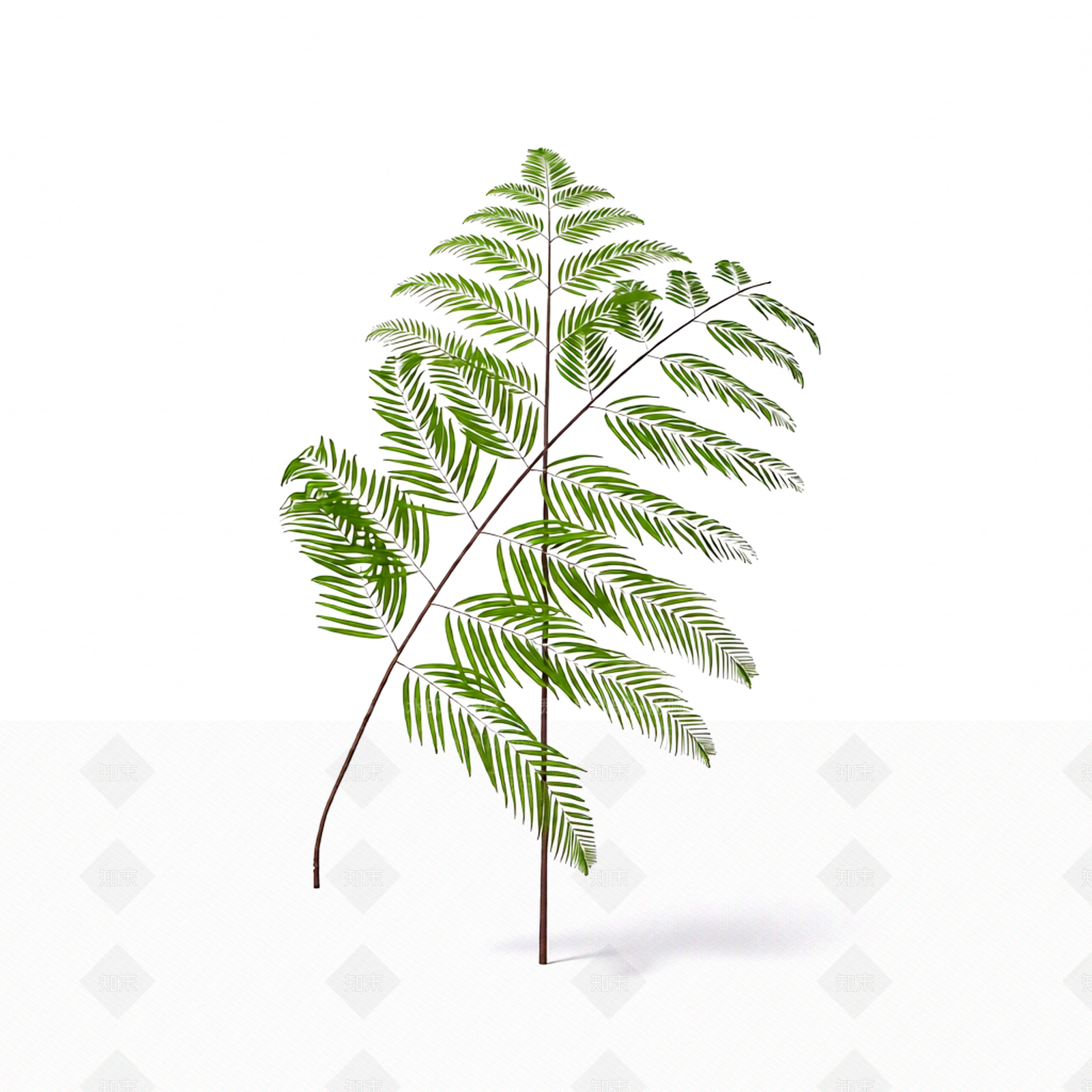 绿色枝叶植物模型3D模型下载【ID:1206188963】