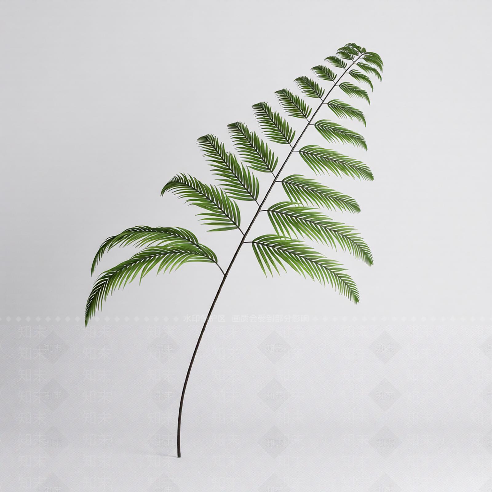 绿色枝叶植物模型3D模型下载【ID:1206187298】