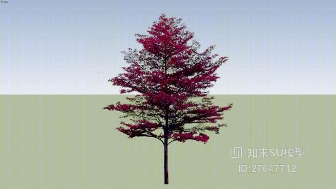 树SU模型下载【ID:27647712】